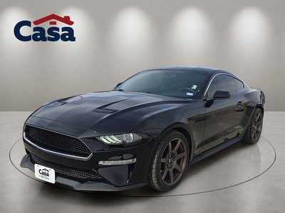 2019 Ford Mustang Bullitt